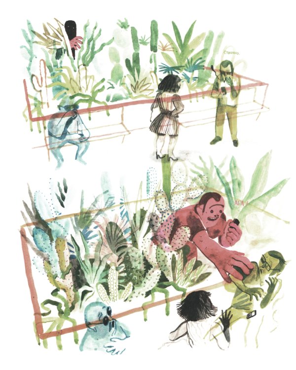 Любители: графический роман