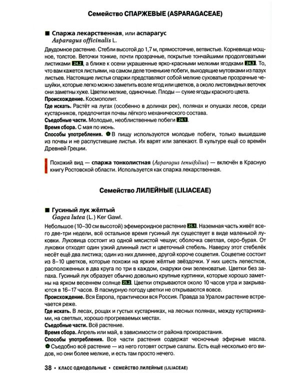Съедобные дикорастущие растения средней полосы России. Фотоопределитель