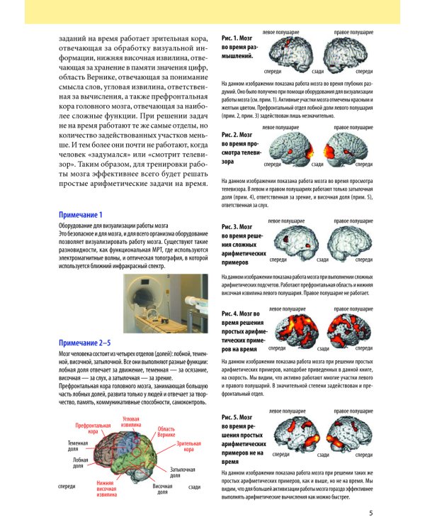 Интеллект. Упражнения и задания по японской системе развития мозга