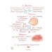 Дополнительное изображение книги «Всю жизнь я играю в куклы»