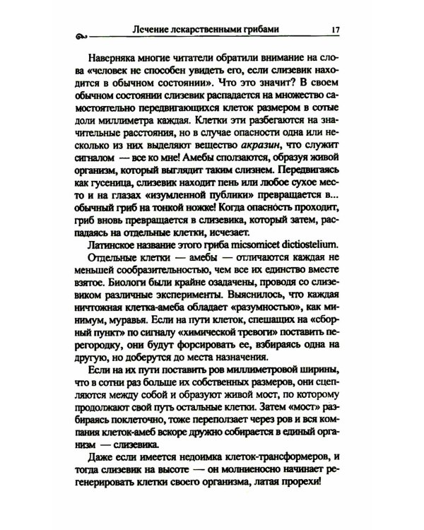 Популярная фунготерапия: лечение лекарственными грибами
