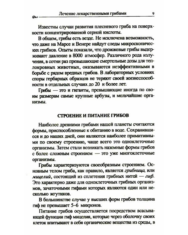 Популярная фунготерапия: лечение лекарственными грибами