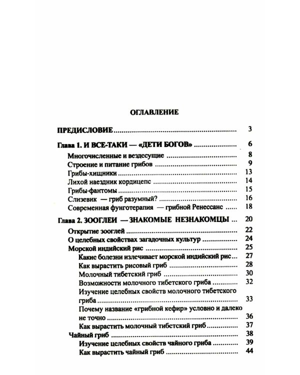 Популярная фунготерапия: лечение лекарственными грибами