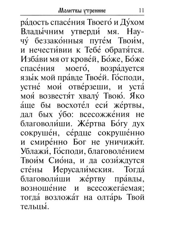 Молитвослов. Крупный шрифт. Каноны раздельные