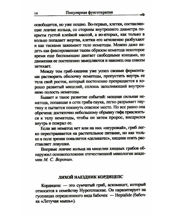 Популярная фунготерапия: лечение лекарственными грибами