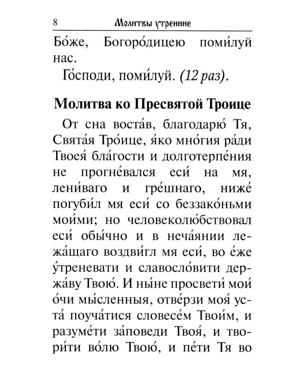 Молитвослов. Крупный шрифт. Каноны раздельные