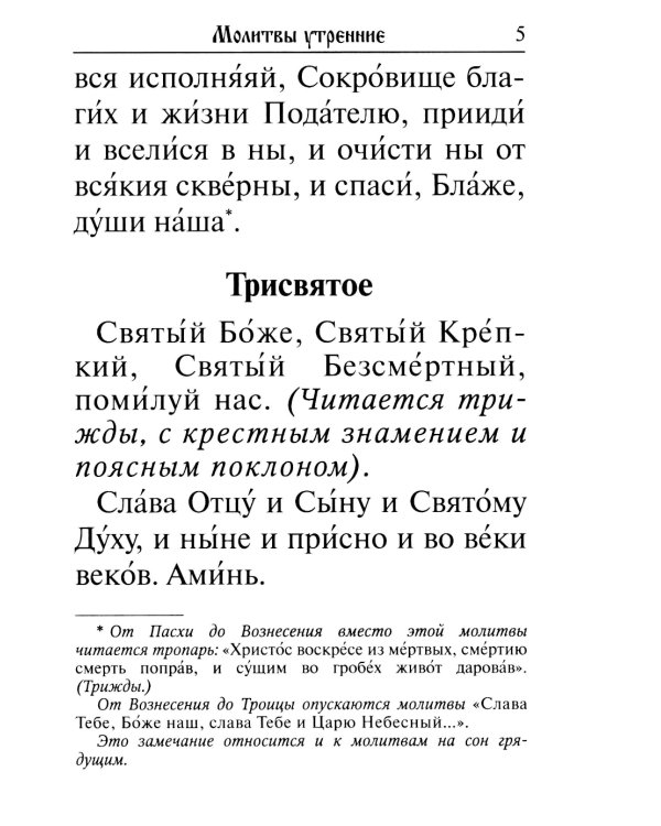 Молитвослов. Крупный шрифт. Каноны раздельные