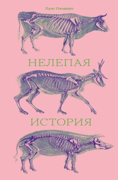 Обложка книги «Нелепая история» — Ландеро Луис, ISBN 9785605240433