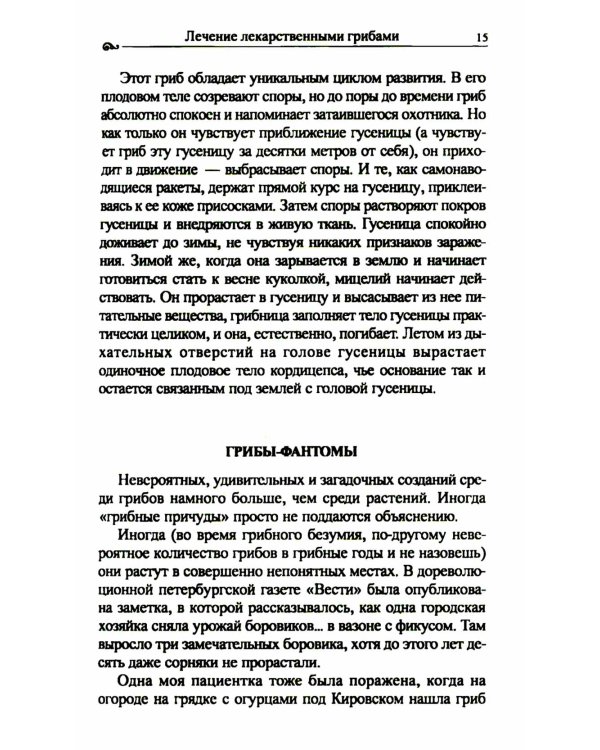 Популярная фунготерапия: лечение лекарственными грибами