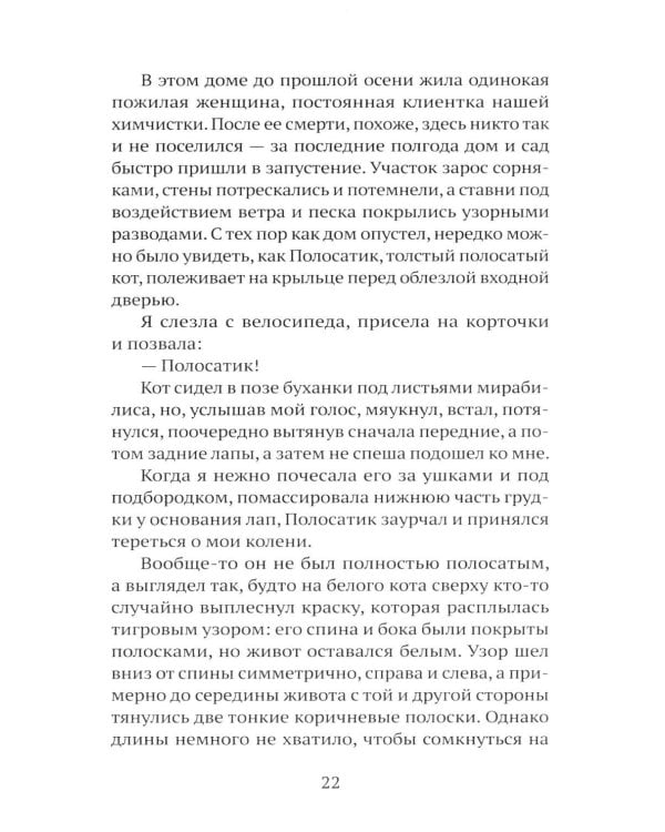 Дополнительное изображение книги «Брошенцы»