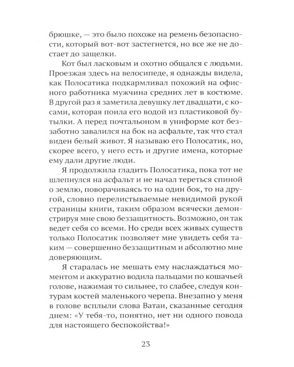 Дополнительное изображение книги «Брошенцы»