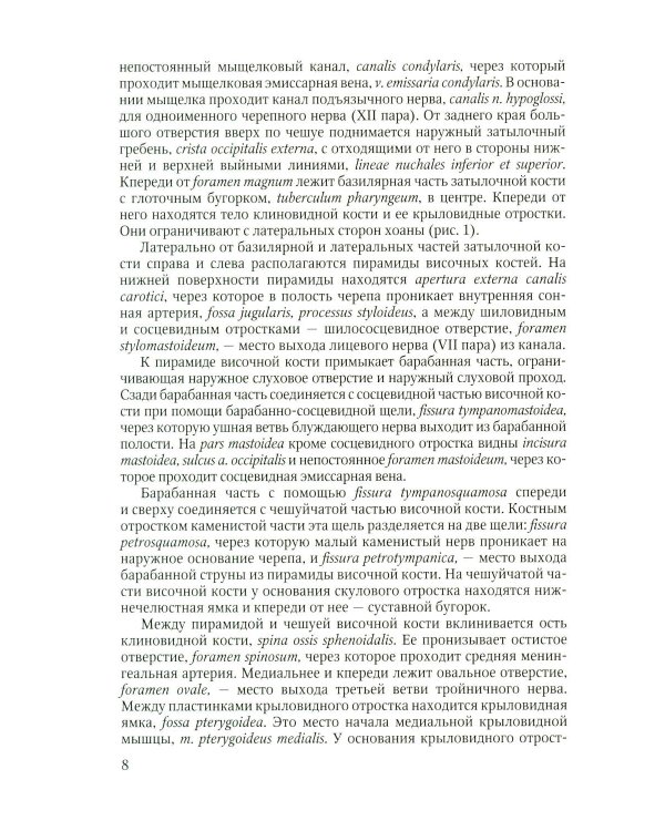 Дополнительное изображение книги «Функционально-клиническая анатомия зубочелюстной системы: Учебное пособие»