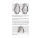 Orthodontics. Modern Methods of Diagnosing Dental Abnormalities, Dentition and Occlusion: tutorial: на англ.яз Orthodontics. Modern Methods of Diagnosing Dental Abnormalities, Dentition and Occlusion: tutorial: на англ.яз