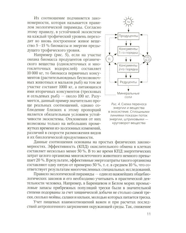Дополнительное изображение книги «Очерки экологии человека»