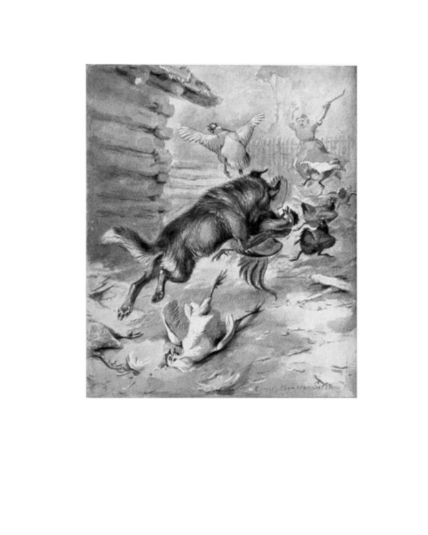 Рольф в лесах. Лесные рассказы: роман, повести, рассказы