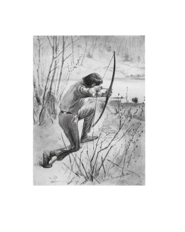 Рольф в лесах. Лесные рассказы: роман, повести, рассказы