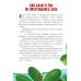 Дополнительное изображение книги «Моя первая Библия»