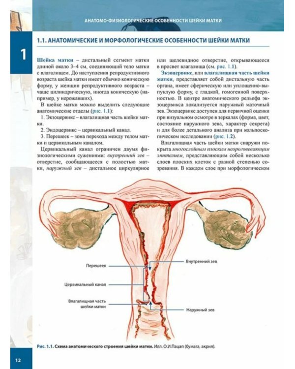 Цитологическая диагностика цервикальной патологии