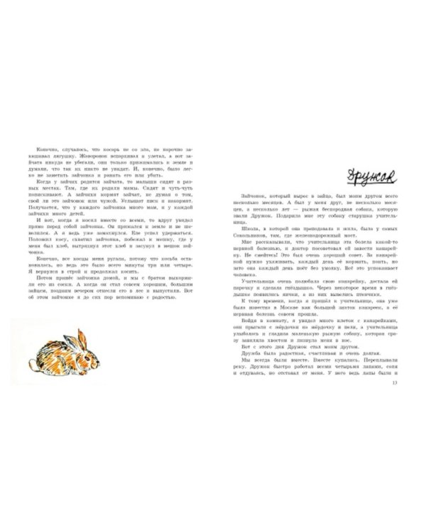 Дополнительное изображение книги «Так нельзя, а так можно и нужно»