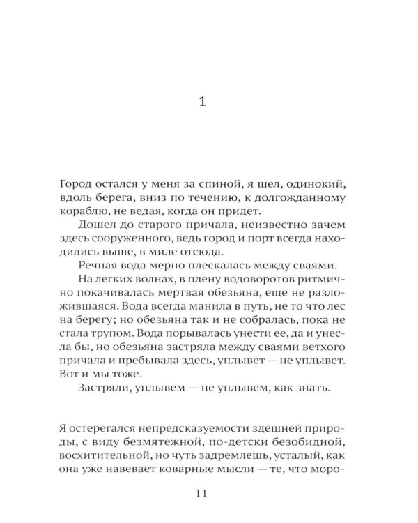 Дополнительное изображение книги «Зама»