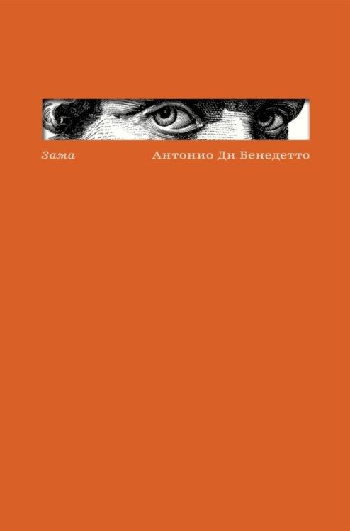 Обложка книги «Зама» — Ди Бенедетто Антонио, ISBN 9785605456322