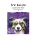 Lassie Come-Home: на англ.яз