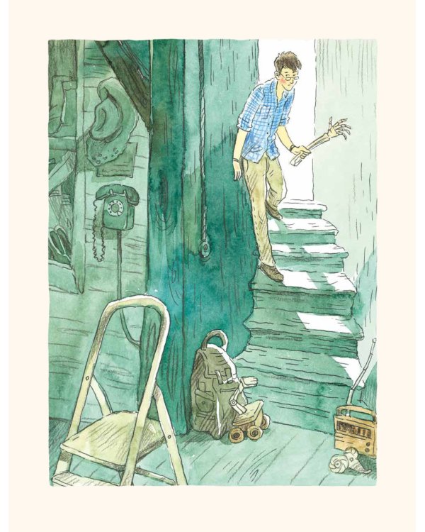 Похитители котов