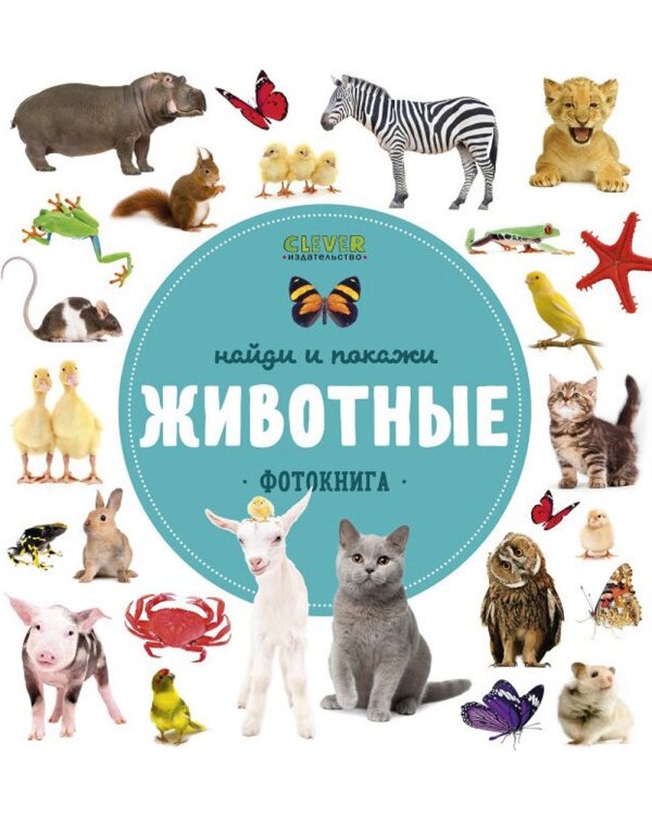 Найди и покажи. Животные. Фотокнига