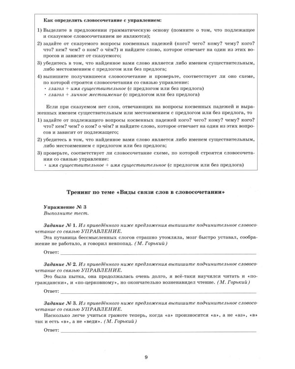 Русский язык. 11 кл. Практикум по орфографии и пунктуации. Готовимся к ЕГЭ: Учебное пособие