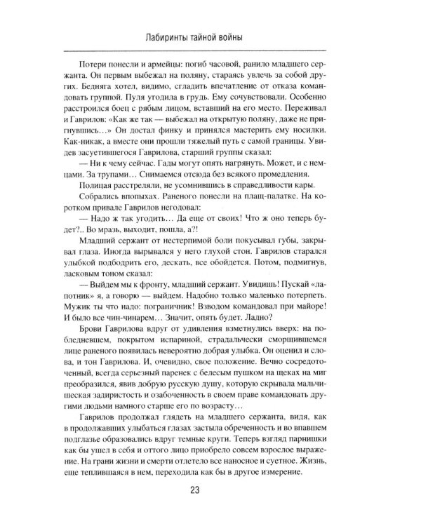 Лабиринты тайной войны: роман-хроника