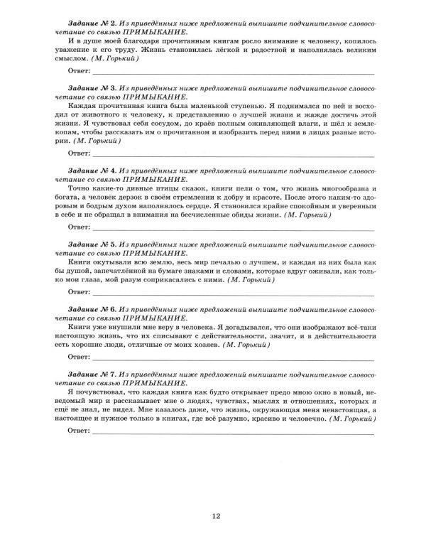 Русский язык. 11 кл. Практикум по орфографии и пунктуации. Готовимся к ЕГЭ: Учебное пособие
