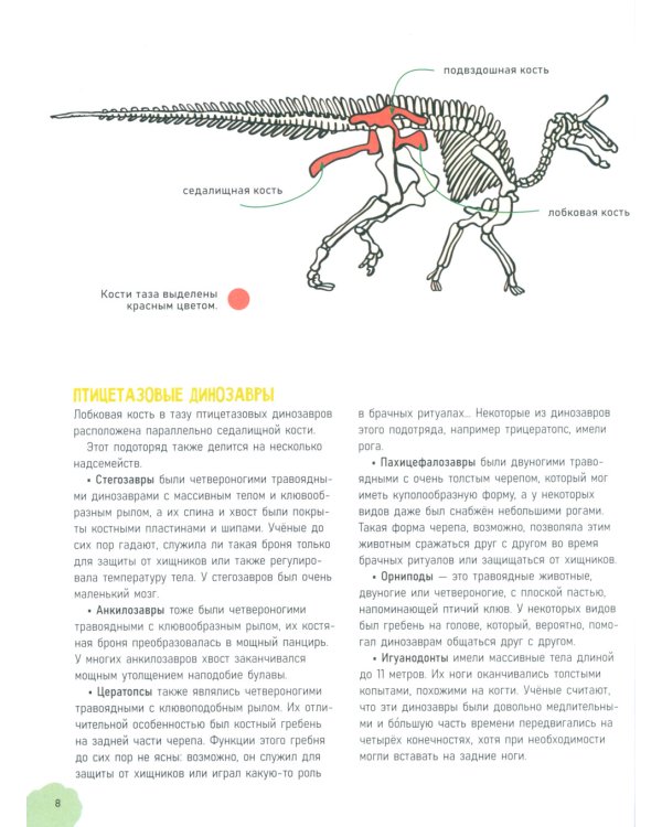 Удивительные динозавры