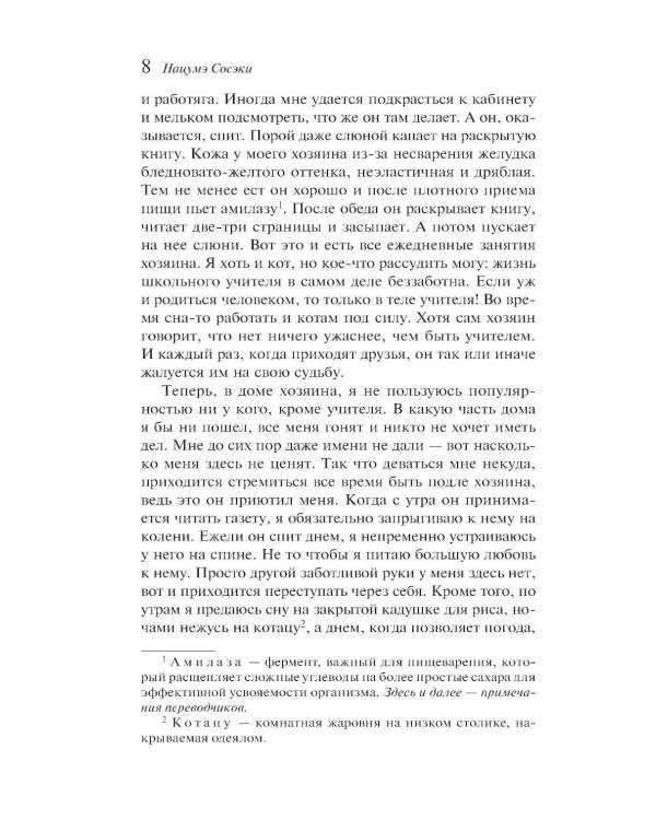 Ваш покорный слуга кот