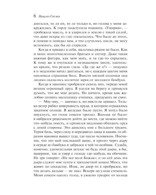 Ваш покорный слуга кот