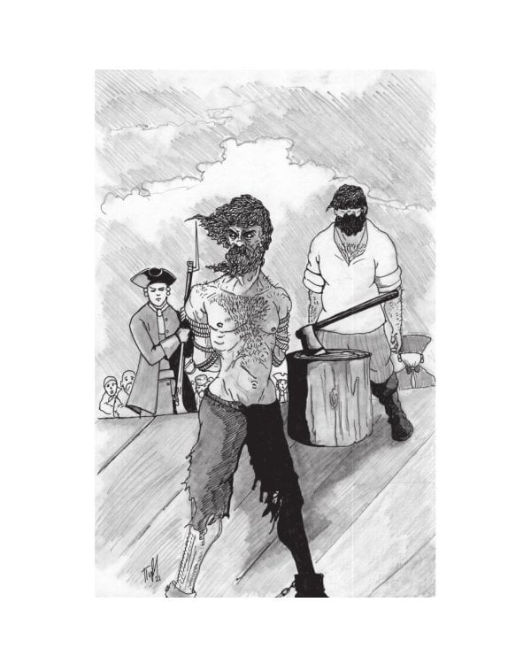 Тайная история Тартарии. Т. 2.  Дыхание дикого поля