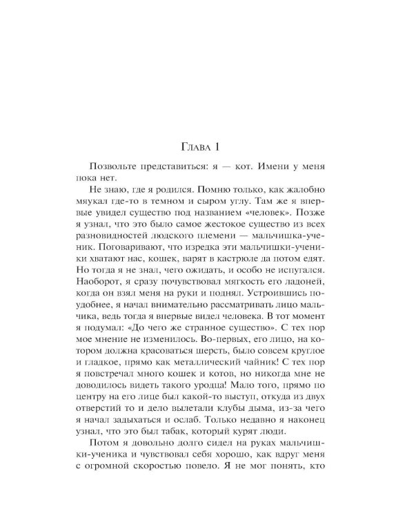Ваш покорный слуга кот