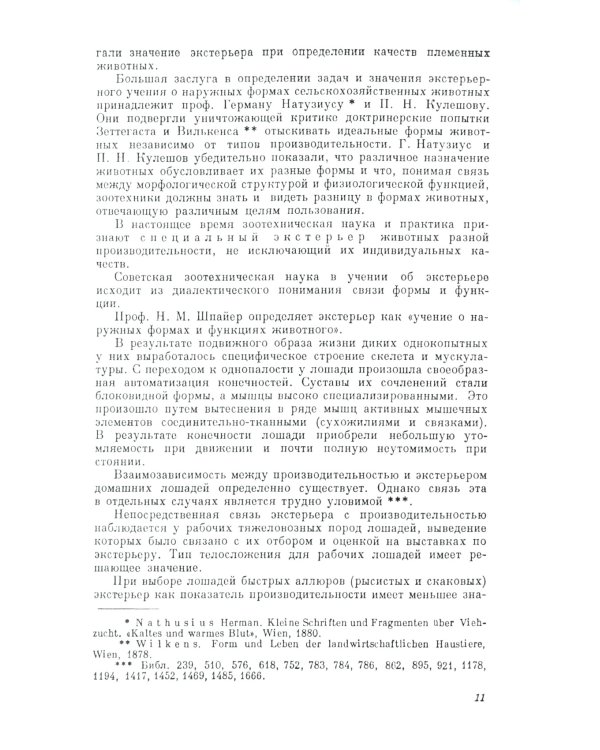 Экстерьер лошади. (№ 51)