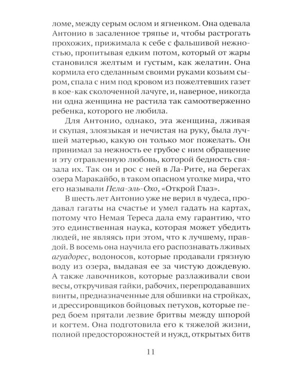 Дополнительное изображение книги «Сон ягуара»