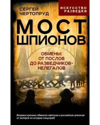 Мост шпионов. Обмены: от послов до разведчиков-нелегалов
