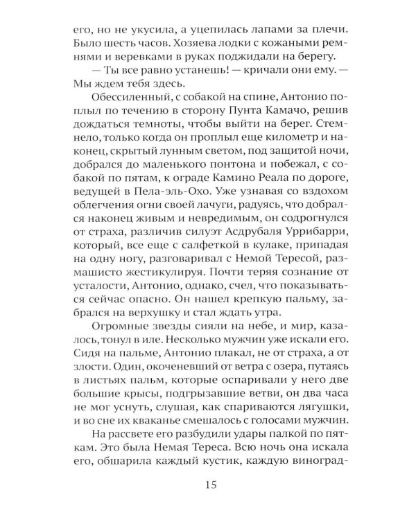 Дополнительное изображение книги «Сон ягуара»