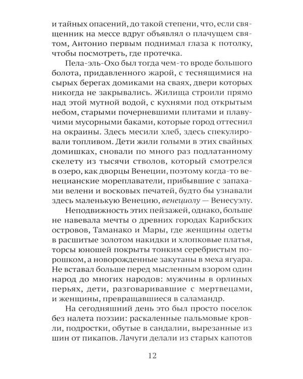 Дополнительное изображение книги «Сон ягуара»