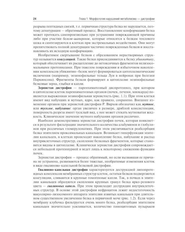 Патологическая анатомия: Учебник. 4-е изд., сокр. и перераб