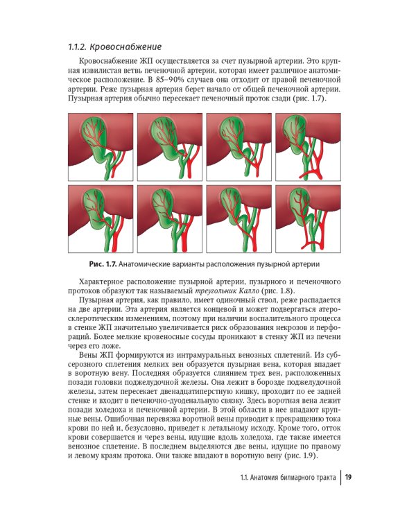 Болезни билиарного тракта у детей. Руководство по диагностике и лечению