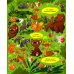 Большая книга. Мамы и малыши
