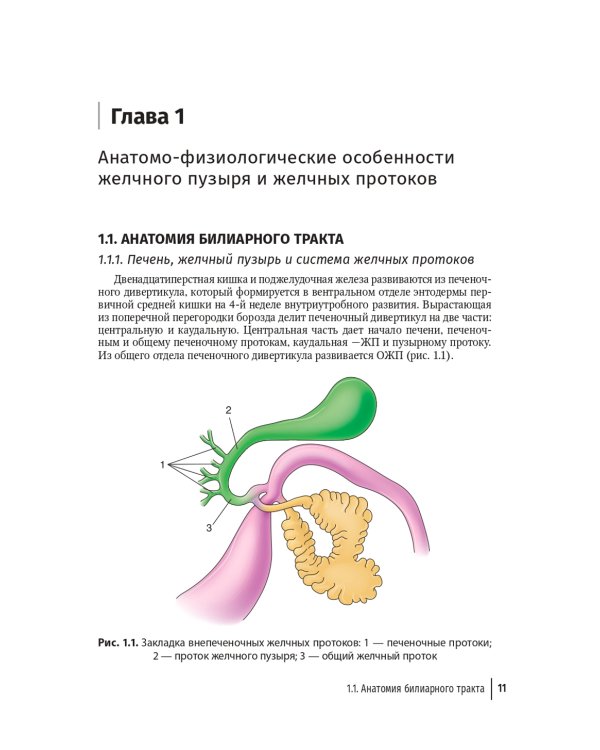Болезни билиарного тракта у детей. Руководство по диагностике и лечению