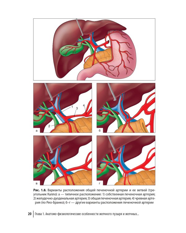 Болезни билиарного тракта у детей. Руководство по диагностике и лечению