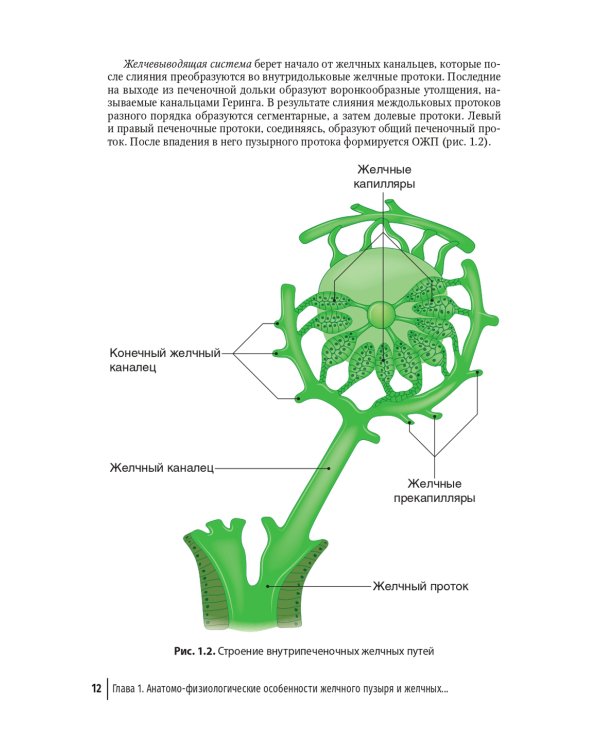 Болезни билиарного тракта у детей. Руководство по диагностике и лечению