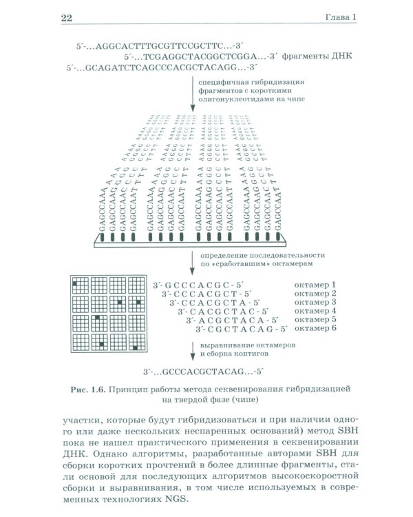 NGS: высокопроизводительное секвенирование. 7-е изд
