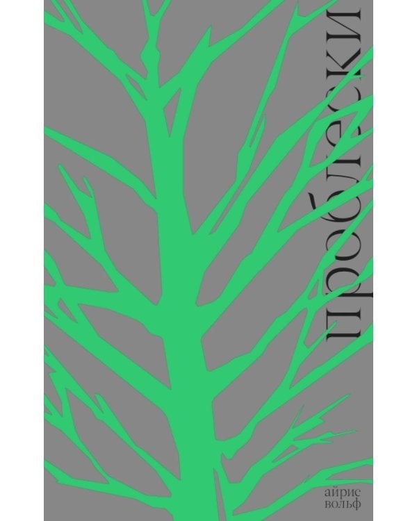Дополнительное изображение книги «Проблески»