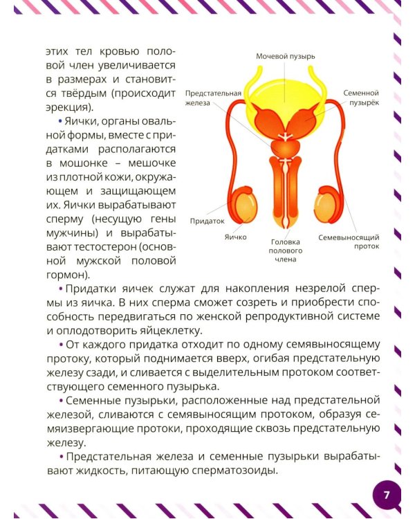 Что девочкам нужно знать о мальчиках. Книга о половом воспитании для подростков от 9 до 13 лет
